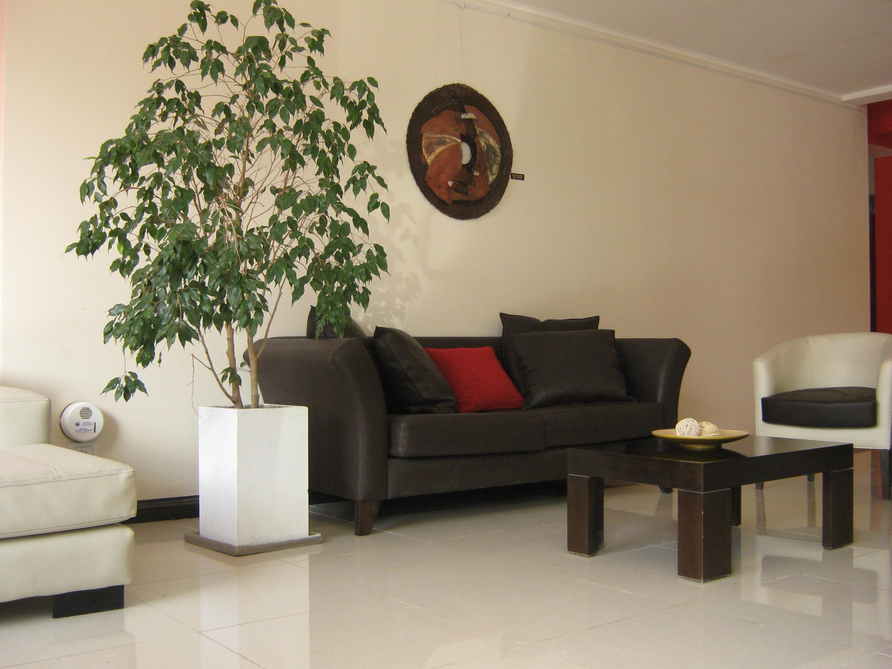 Dakar Hotel Mendoza Kültér fotó